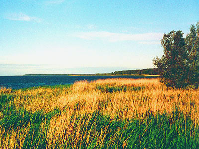 Wellness- und Kururlaub am Oderhaff auf der Insel Usedom