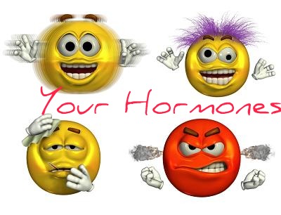 Hormon und Hormone