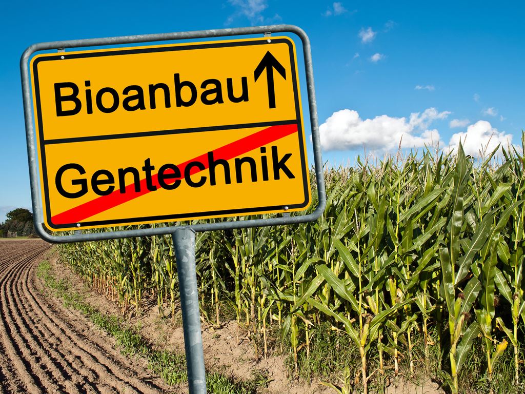 Gentechnik, Pflanzenanbau: neues Gesetz, Mindestabstand