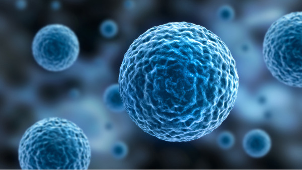 Stammzellen – Regenerative Medizin kann helfen