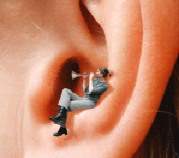 Tinnitus, chronische Ohrgeraeusche durch Musiktherapie heilen, auch ein Buchtipp