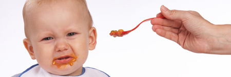 Babynahrung/Babybrei – Unnötige Geschmacksvielfalt?