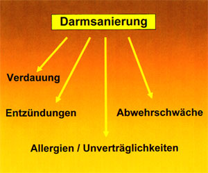 Darmsanierung