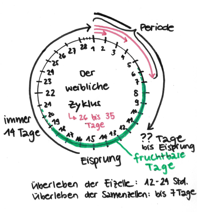 natürliche verhütung zyklus